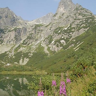 SINGING ROCK @ 91st JAMES Meeting (2015)